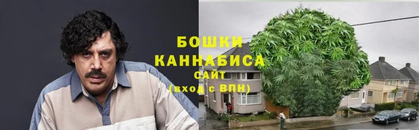 сатива Армянск