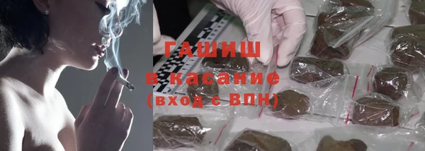 сатива Армянск