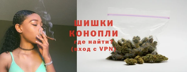 сатива Армянск