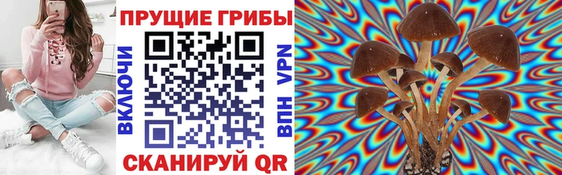 Псилоцибиновые грибы MAGIC MUSHROOMS  Малгобек 